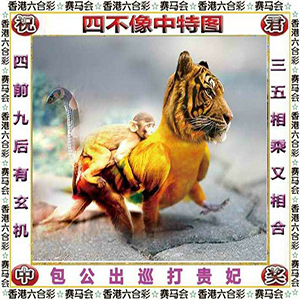 四不像中特
