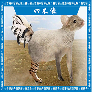 正版四不像（新）